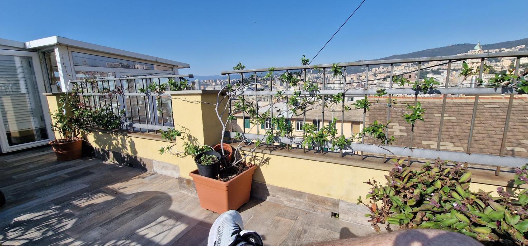 La Del Capitano Apartment Genoa